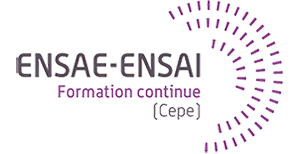 Logo ENSAE-ENSAI Formation Continue